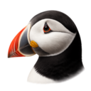 PuffinVault puffin logo